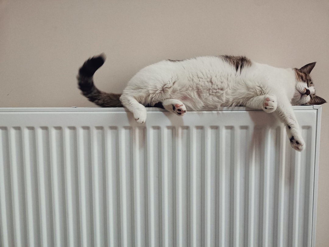 Why Does My Heater Keep Cycling On and Off?