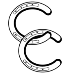 Wise Cooling And Heating logo
