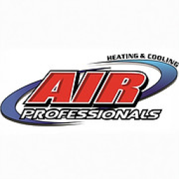 Air Professionals Of Sc logo