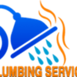 Plummer S Repair Only logo