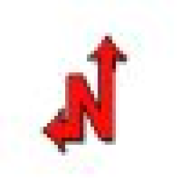 Northwest Services logo