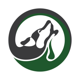 Wolf & Sons Heating & Cooling logo