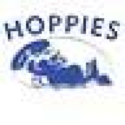 Hoppies Heating & Cooling logo