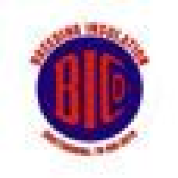 Breeding Insulation Company logo