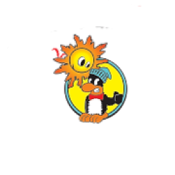 Pamlico Air Inc. logo