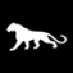 Panther City Plumbing logo