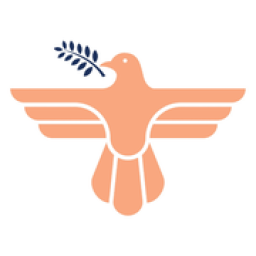 Paloma Plumbing TX logo