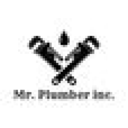 Mr. Plumber logo