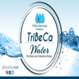 Tribeca Beverage Company logo