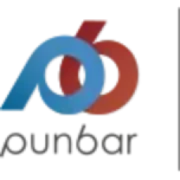 Punbar Air - Houston, TX logo