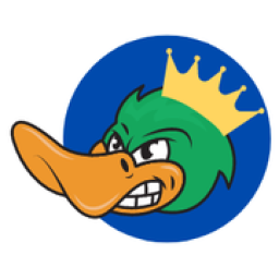 Duct Kings - Clifton Park, NY logo