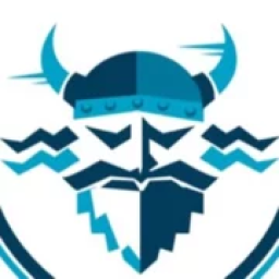 Viking Air Services LLC logo