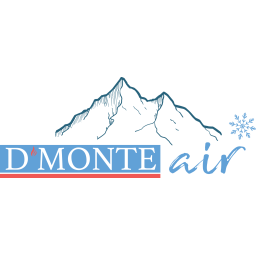 D Monte Air Inc. logo