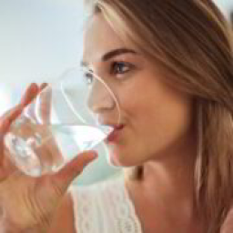 Palm Beach Water Purification logo