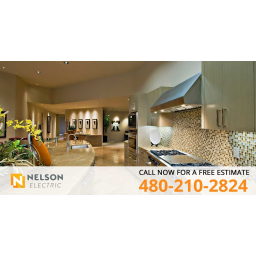 Nelson Electric logo