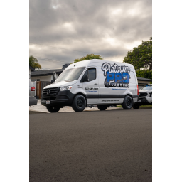 Platinum Pro Plumbing & Rooter Corp logo