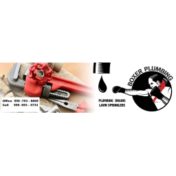 Boxer Plumbing logo