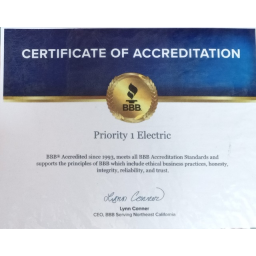 Priority 1 Electric logo
