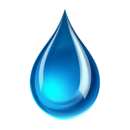 Water Sharks logo