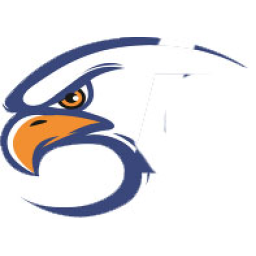 Eagle Heating & A/C logo