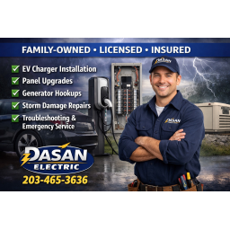 Dasan Electric logo