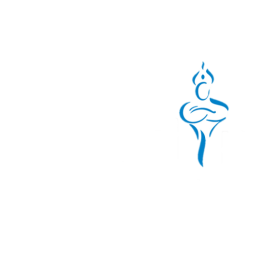 Aladdin Services LLC logo