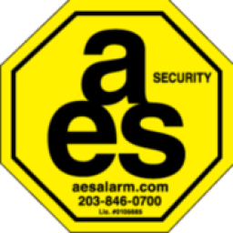 Advanced Electronic Systems logo