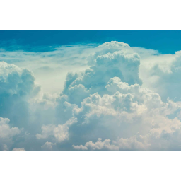 Evergreen Air Quality Services logo