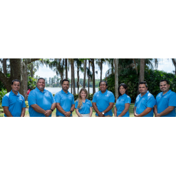 Blue Air Heating and Cooling - Orlando, FL logo