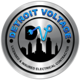 Detroit Voltage logo