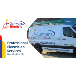 Damyans Electric Inc. logo