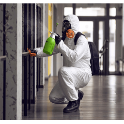 Certified Mold Removal Inspection and Testing Minneapolis MN logo