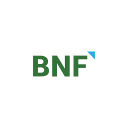 BNF Consulting NYC logo