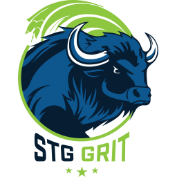 STG Electric Services logo