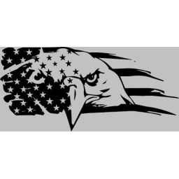 Patriot Heating Cooling & More LLC logo