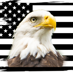 American Veterans United LLC logo