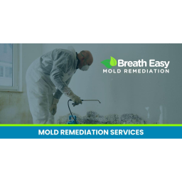 Breathe Easy Mold Remediation logo