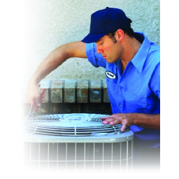 Done Well Services logo
