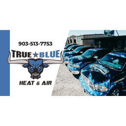 True Blue Heat And Air logo