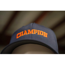 Champion Cooling, Heating & Plumbing logo