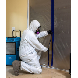 Mold Remediation Houston Heroes logo