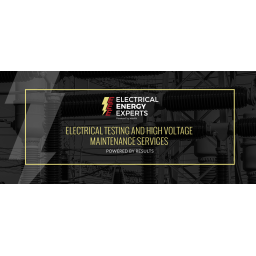 Electrical Energy Experts, LLC. logo