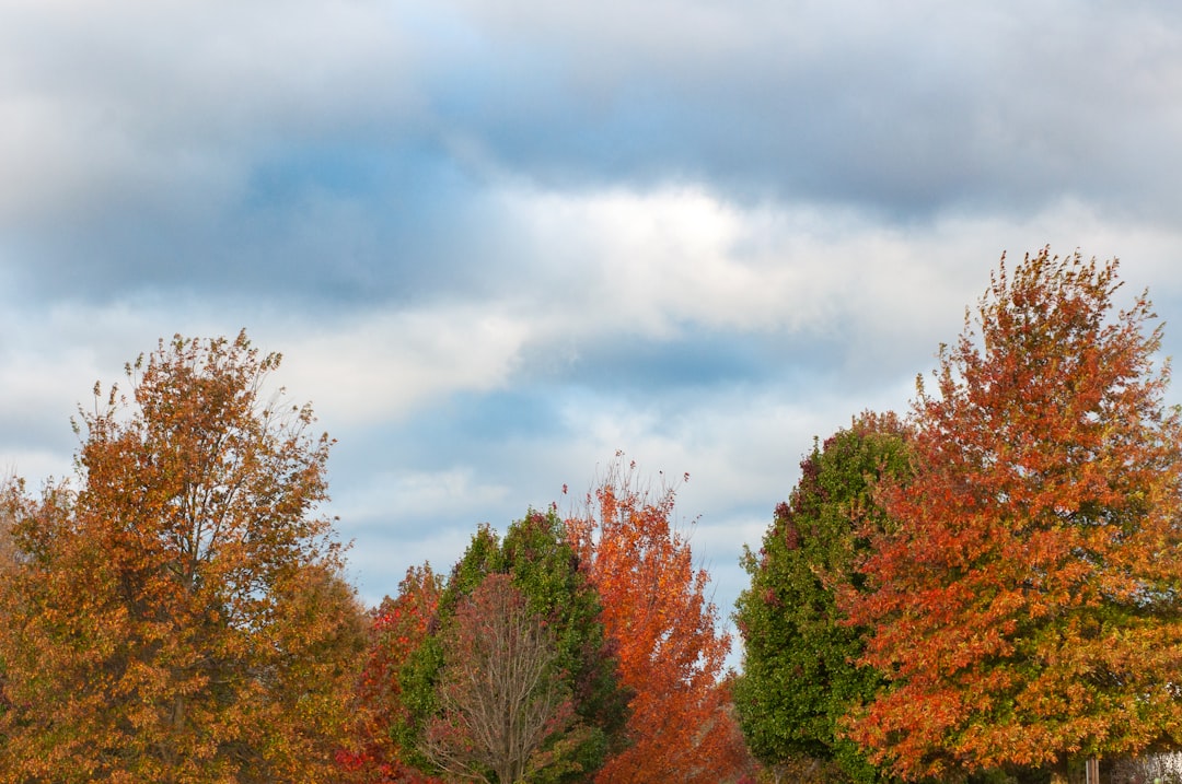 Ohio HVAC services