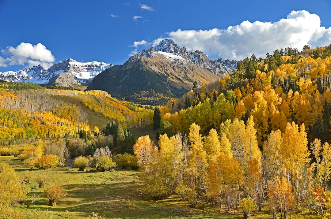 Colorado HVAC services